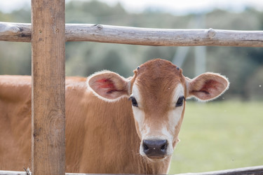 Similar image 21902360