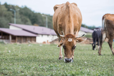 Similar image 21902361