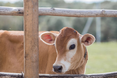 Similar image 21902362