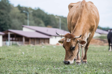 Similar image 21902363