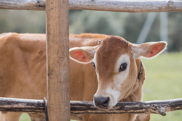 Similar image 21902364