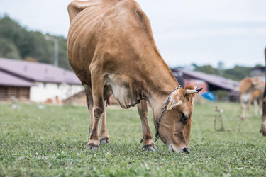 Similar image 21902365