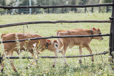 Similar image 21902366