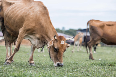 Similar image 21902367