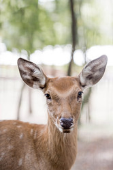 Similar image 21902566