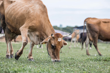 Similar image 21902567