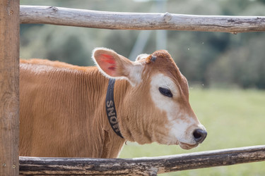 Similar image 21902568