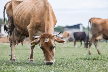 Similar image 21902569