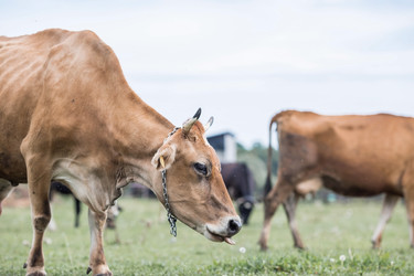 Similar image 21902571