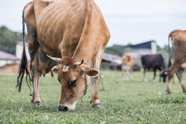 Similar image 21902572