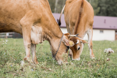 Similar image 21902573