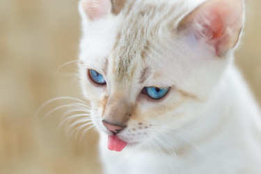 Similar image 21895521