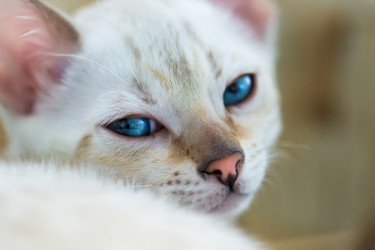 Similar image 21895522