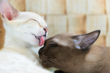 Similar image 21895523