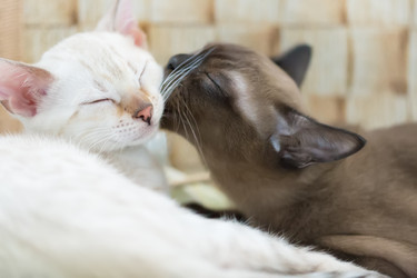 Similar image 21895525