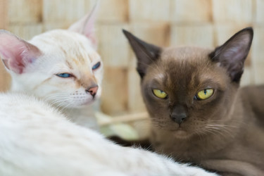 Similar image 21895526