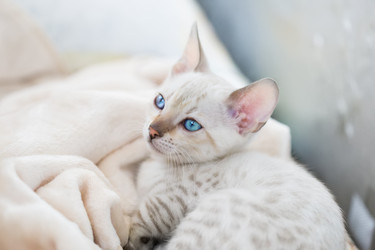 Similar image 21895527