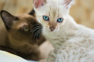 Similar image 21895528