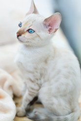 Similar image 21895529