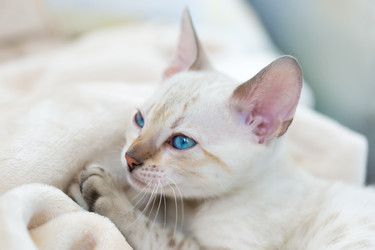 Similar image 21895530