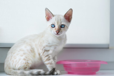 Similar image 21895531