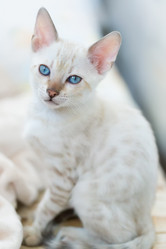 Similar image 21895532