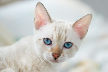 Similar image 21895533