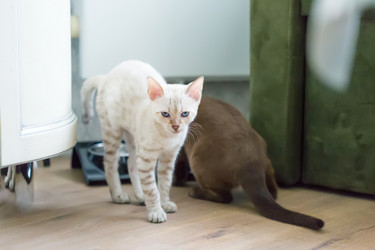 Similar image 21895534