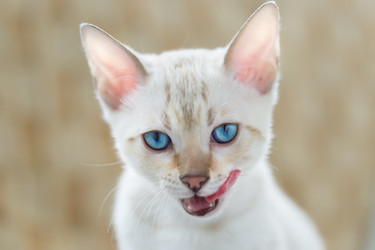 Similar image 21895535