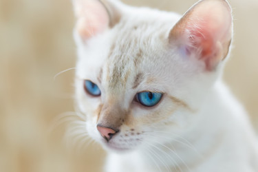 Similar image 21895538