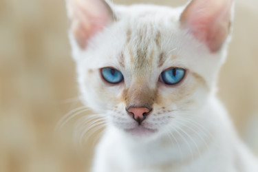 Similar image 21895539