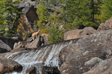 Similar image 21895336