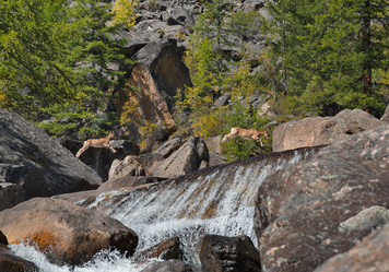 Similar image 21895339