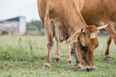 Similar image 21902698