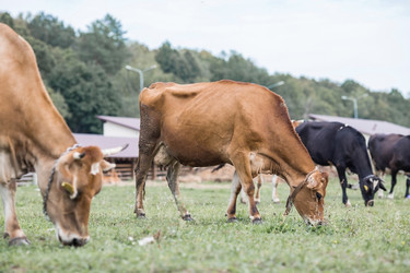 Similar image 21902699