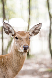 Similar image 21902700