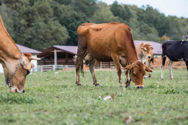 Similar image 21902819