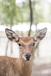 Similar image 21902820