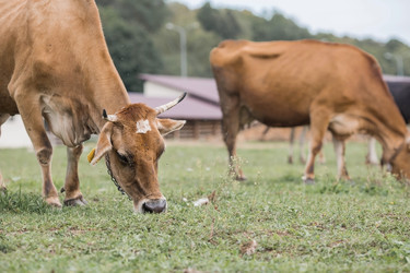 Similar image 21902821