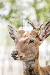 Similar image 21902824