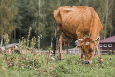 Similar image 21902825