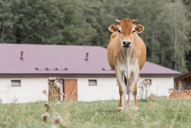 Similar image 21902827