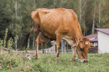 Similar image 21902828