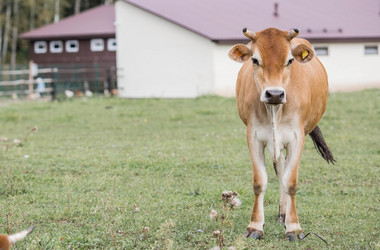 Similar image 21902829