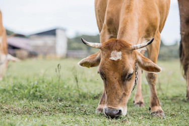 Similar image 21902830