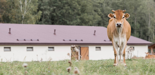 Similar image 21902831