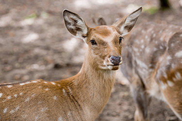 Similar image 21902832