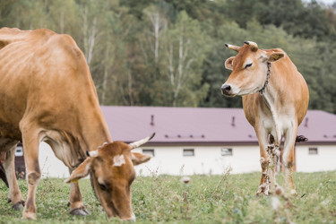 Similar image 21902833