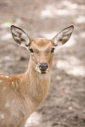 Similar image 21902834