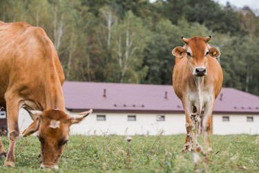 Similar image 21902835